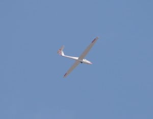 Grob G103 Twin Astir (C-FNUO)